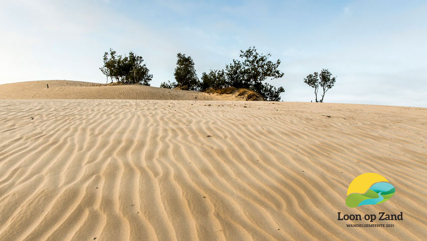 Brabantse Sahara struinen duinen