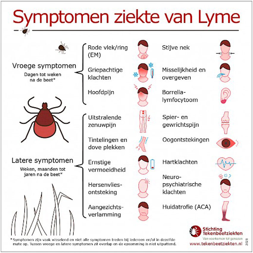 wandelnieuws infogram ziekte van lyme.519x0 is