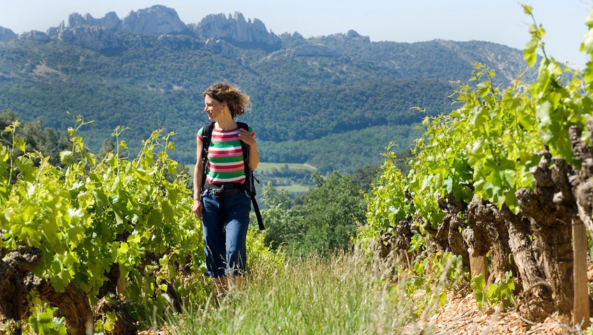 Culinair wijnwandelen door de Provence