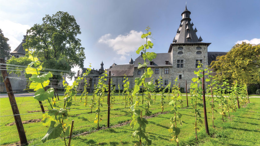 wandelvakantie kasteel van bioul wijngaard en proeverij