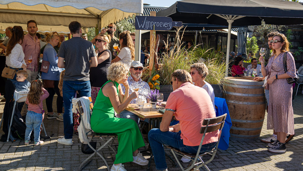 wandelnieuws bergendal wijnfeesten wijngaard de plack