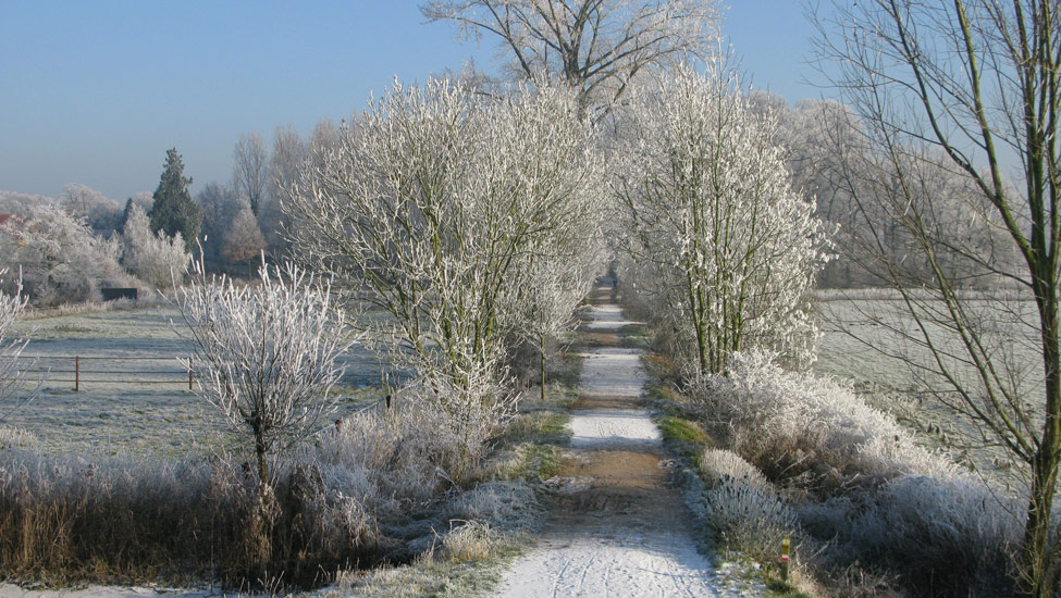 ru 4. winterbeeld amerongen shutterstock