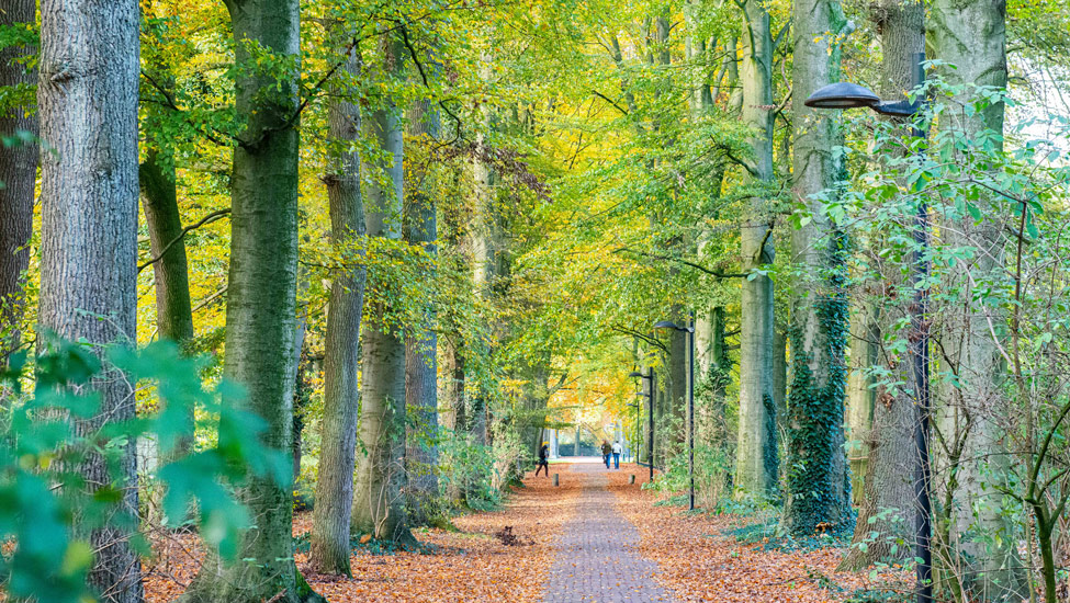 wandelnieuws gravenallee almelo adsnelderwaard wandelnet