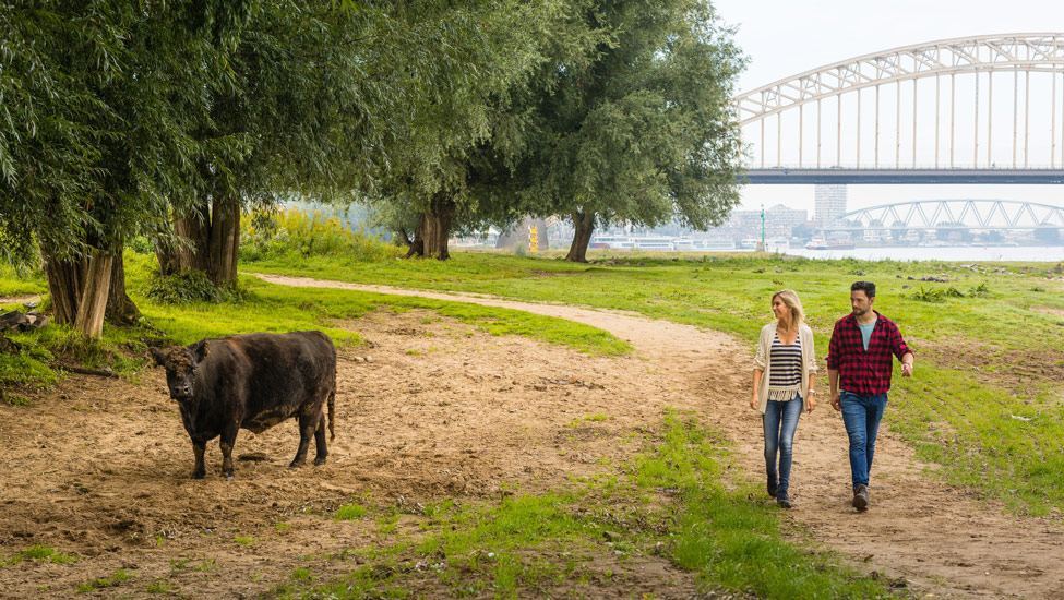 wandelnieuws bend waalbrug uiterwaarden visit veluwe arnhem i.s.m. ministerie van beeld