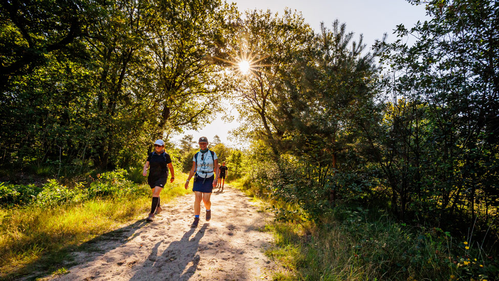 wandelnieuws soester wandelweekend zondag zandpad