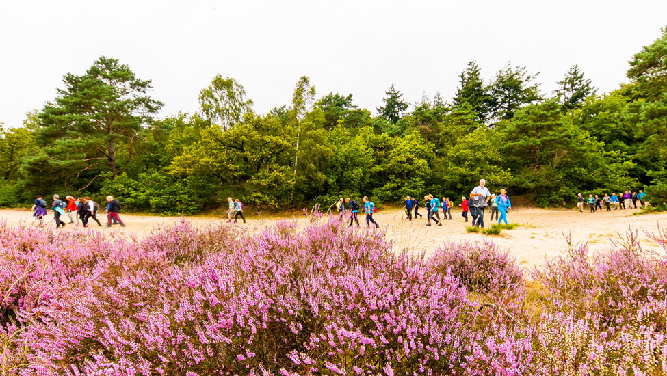 wandelnieuws soesterwandelweekend zaterdag sjoerd 4195 lg