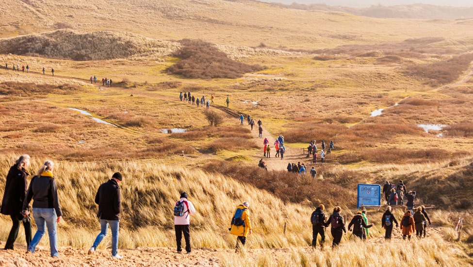 wandelnieuws ewm duinen