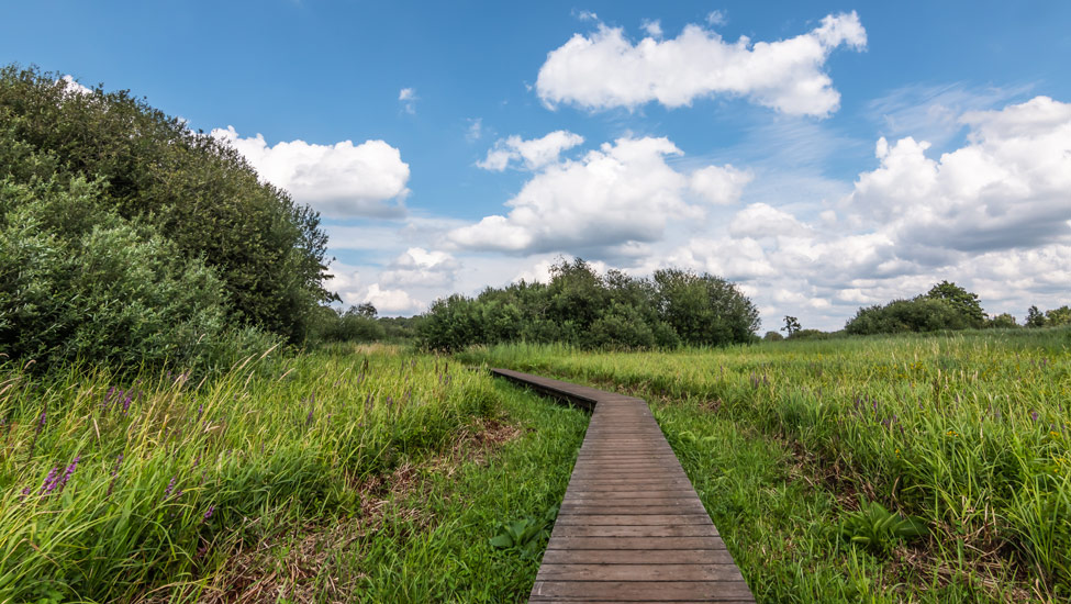 wandelnieuws stiltegebied kempen shutterstock