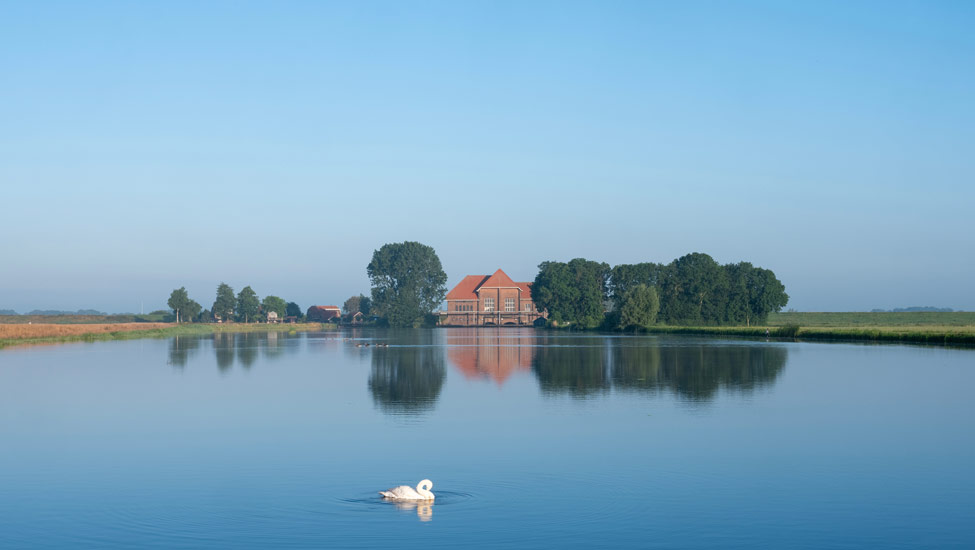 wandelnieuws wieden shutterstock