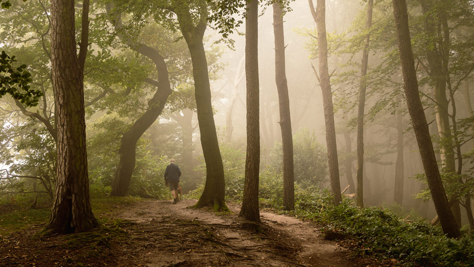 wandelnieuws bergendal herfst david brand herfst