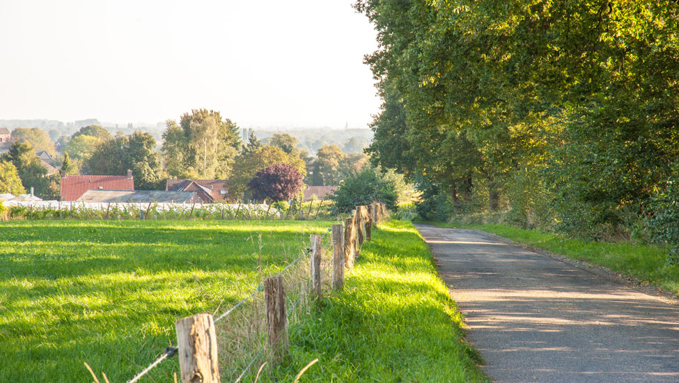 wandelnieuws bergendal sept 1