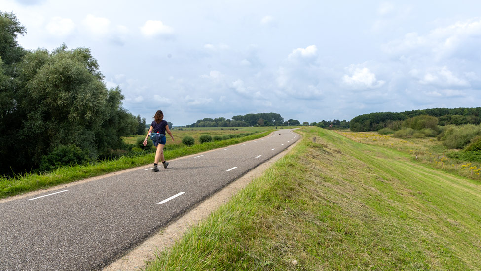 wandelnieuws bergendal pontjes dijk