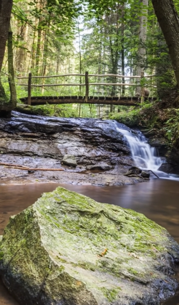 screenshot 2025 12 12 at 09.08.22