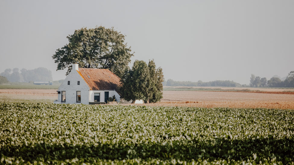 todn huisje foto marketing groningen