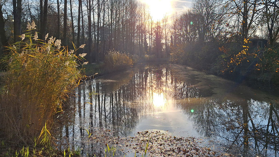 wandelnieuws de kleine plas bob luijks