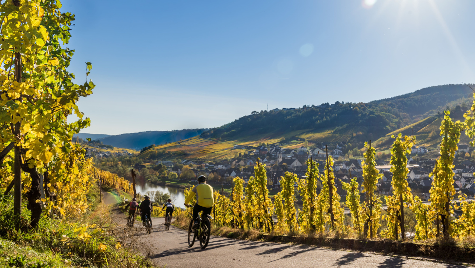 Ontdek de Moezelregio: een van de mooiste wandelgebieden van Duitsland met adembenemende uitzichten, wijngaarden, culinaire verwennerij en sfeervolle wijnroutes