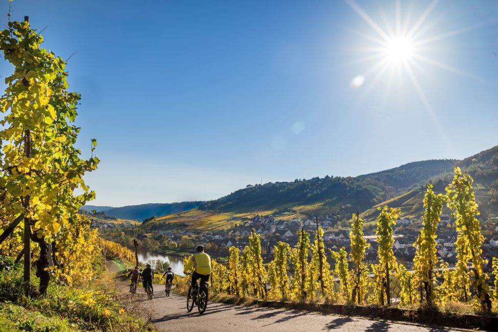 Ontdek de Moezelregio: een van de mooiste wandelgebieden van Duitsland met adembenemende uitzichten, wijngaarden, culinaire verwennerij en sfeervolle wijnroutes