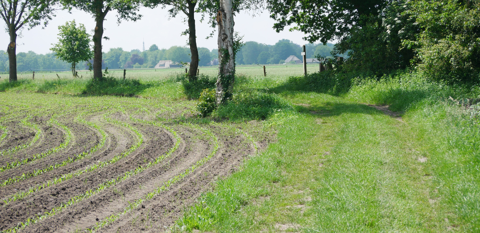 Nieuw Klompenpad Eper Enkenpad in Epe
