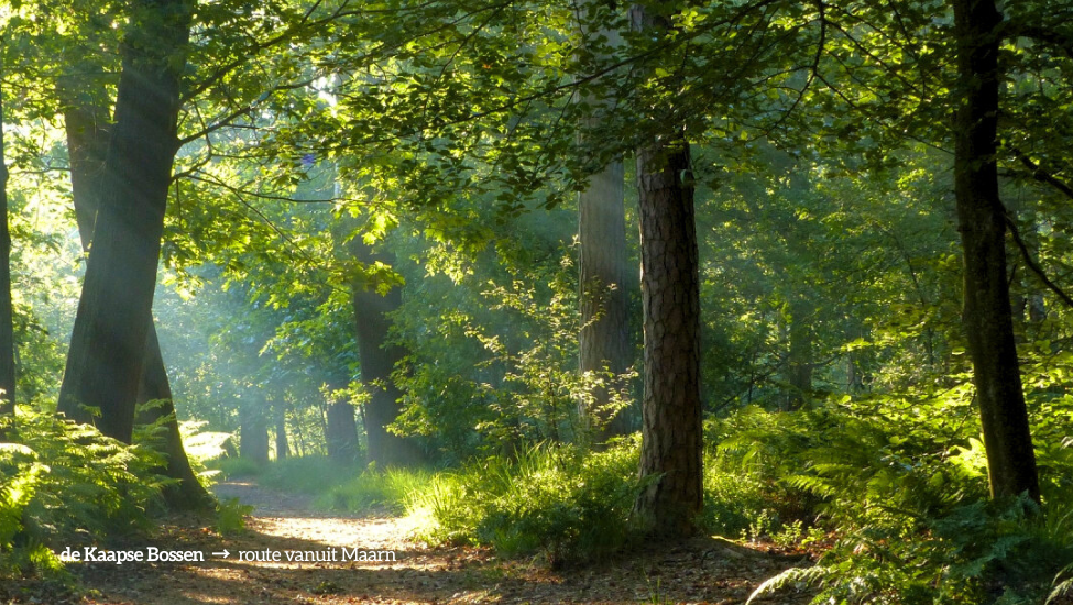 2025 veen zandvlakte martien