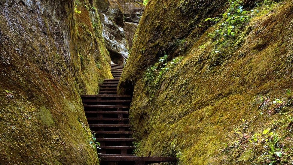 Houten trap en leuning langs natte rotswand in de Marienschlucht, kloofwandeling Duitsland