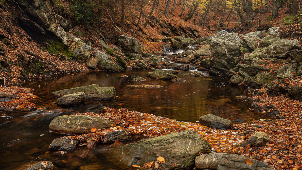 Tevoetonline - wandelen in Vallei van de Hoëgne (1)