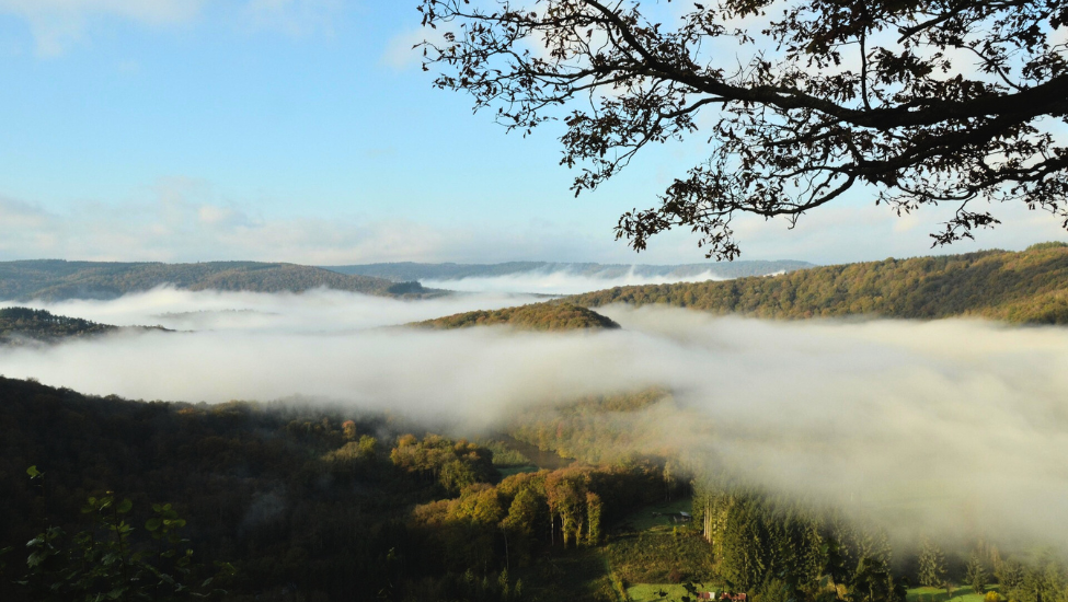 tevoetonline wandelen in vallei van de hoëgne 2