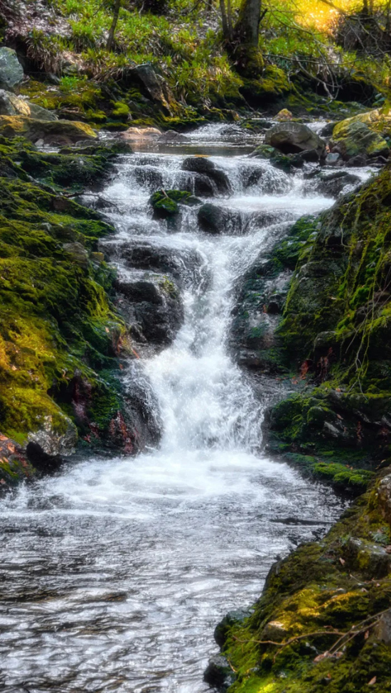 tevoetonline wandelen in vallei van de hoëgne 3