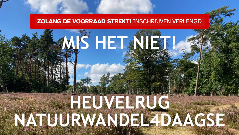 Heuvelrug Natuurwandel4daagse, bijzondere wandelervaring