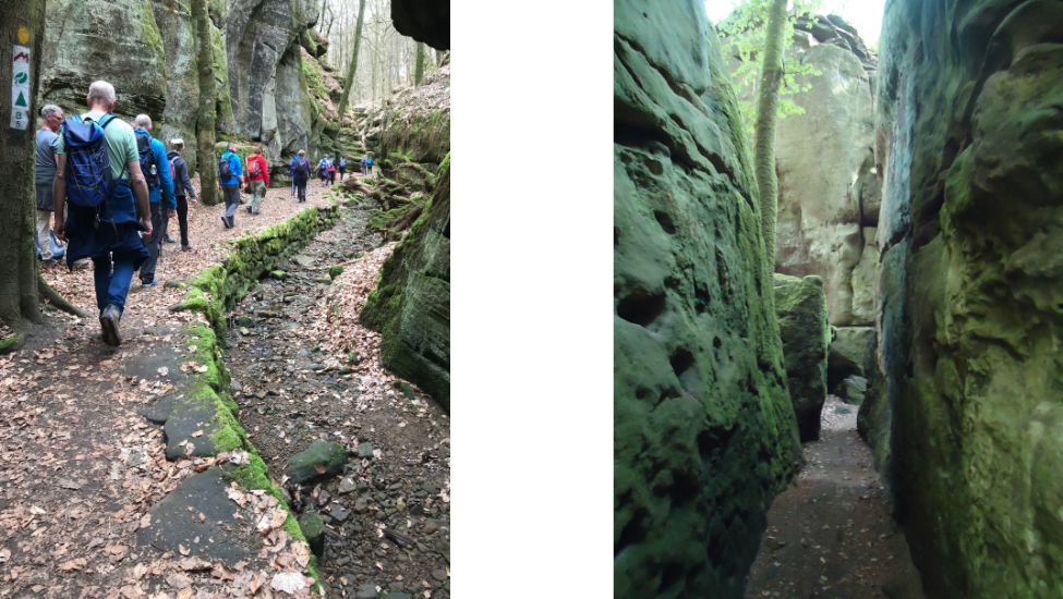 tevoetonline nieuws main image 975x550 14