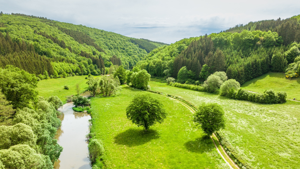 wandern am dreiländereck in ouren