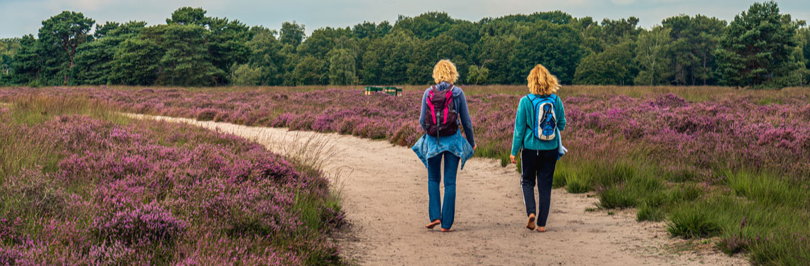 overnachten wandelreizen nederland shutterstock