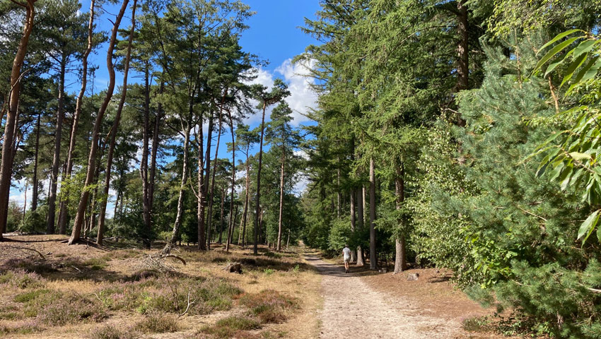 2025 soest struinen martien