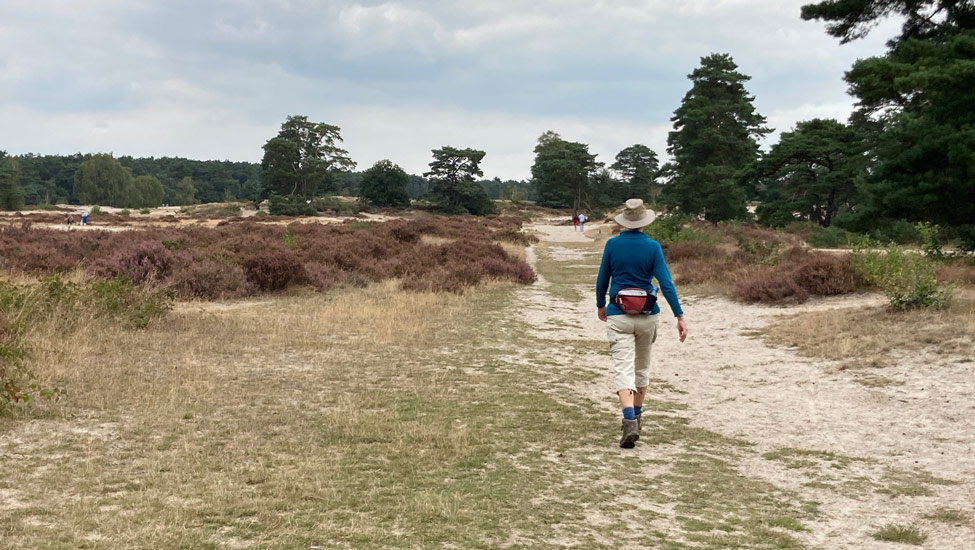 2025 soest duinen heide martien