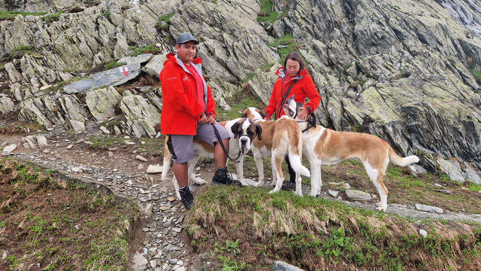 wandelpraat col honden