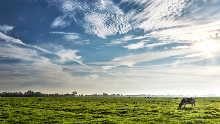Polderlandschap bij Oudewater - foto Shutterstock