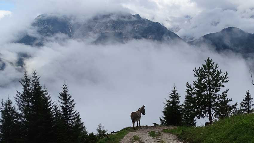 wandelvakantie alpenwelt ezel peak pr