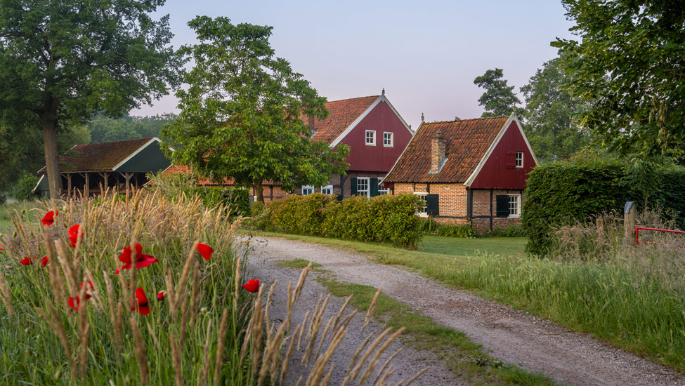 wandelvakantie nederland scholtenpad arjan almekinders