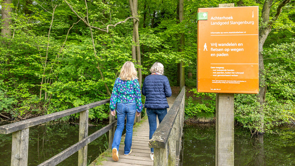 wandelvakantie stedentrips wandelaars