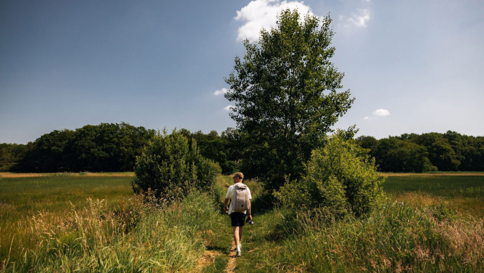 wandelvakantie drenthepad 2