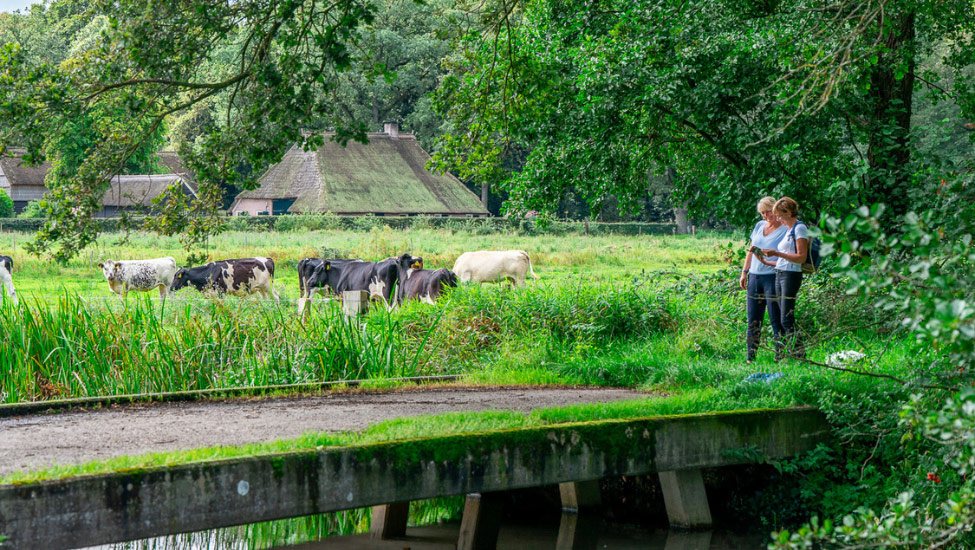 wandelvakantie drenthepad 5