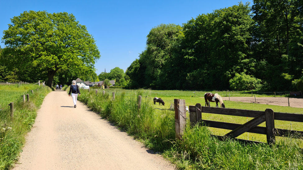 wandelvakantie achterhoek in montferland