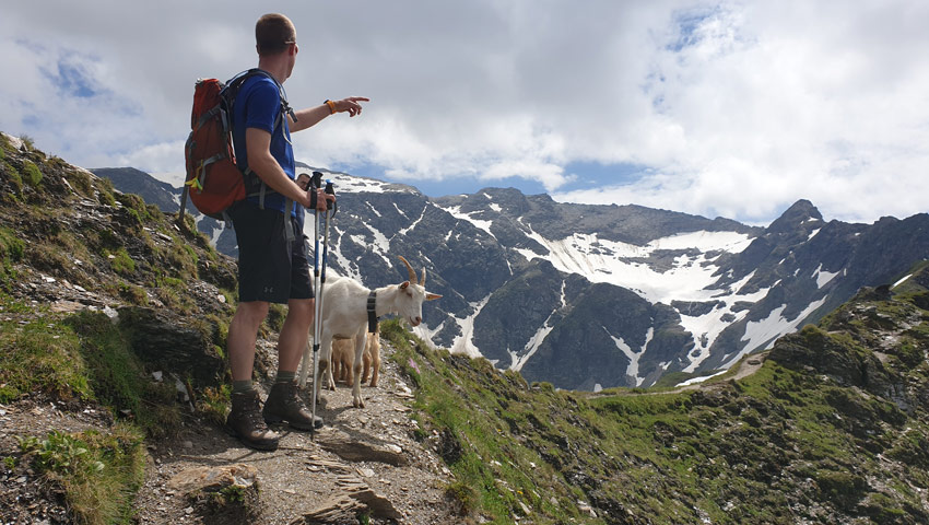 wandelvakantie oostenrijk graat wandeling np hohe tauern sietske mensing