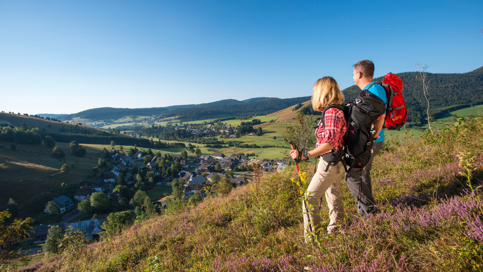 Wandelparadijs Zuid-Zwarte Woud