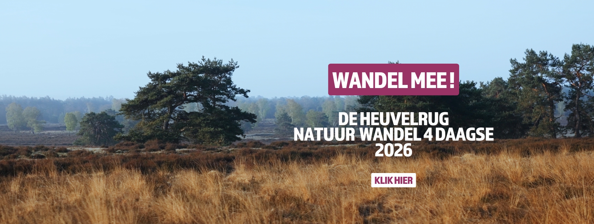 Heuvelrug Natuurwandelvierdaagse